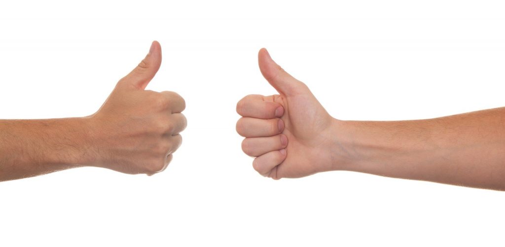 Billede af Niek Verlaan fra Pixabay